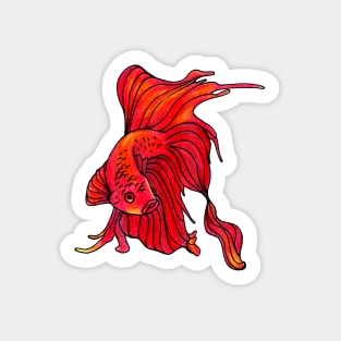 Orange Betta Fish Sticker